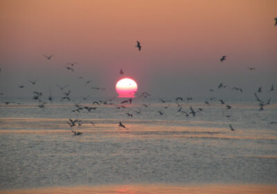 Zonsondergang op de Waddenzee