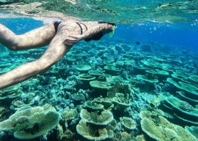 Snorkelen in de Caraïben
