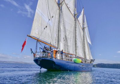 Blue Clipper zeilen