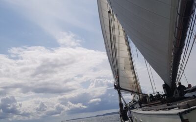 De Elegant zeilt op de Noordzee