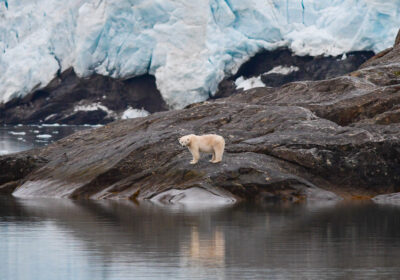 07FAE234-19C8-4773-A163-65FA2B5BF222