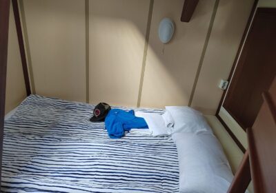 familiehut-amazone Scheepshut tijdens zeilreis Antarctica met tweepersoonsbed