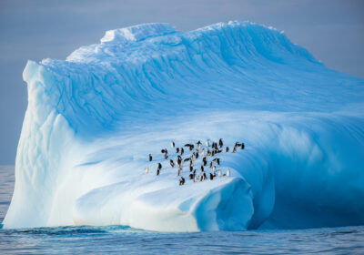 amazone-antarctica Unieke poolervaring tijdens een zeilexpeditie in Antarctica met ongerepte natuur