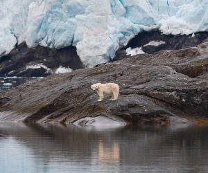 07FAE234-19C8-4773-A163-65FA2B5BF222