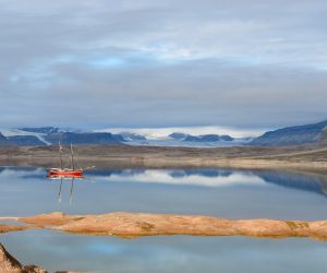 08D3E274-4CD5-47AB-8117-FBD7ED101998