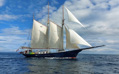 Blue-Clipper-under-sail-blue-skies