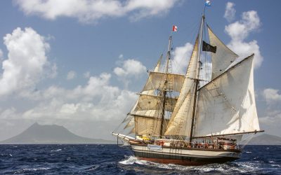 Florette Full Sail from Side