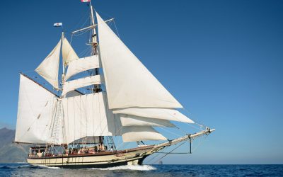 Florette-in-Full-Sail-Blue-Sky2