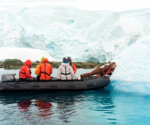 Zodiac tour tussen ijsbergen tijdens Antarctica zeilreis