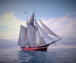 SV NOORDERLICHT sailing cruise schooner yaght 28060880_174114683372772_825256061735745228_o (2)