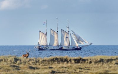 albert-johannes Ostsee