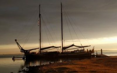 Idyllische Häfen entdecken mit der Kaat Mossel